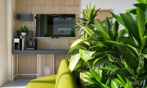 Gynea Clinic Reception Design Featuring a Modern, Nature-Inspired Lounge Gynea clinic reception design with natural green plants, wooden wall, and modern lounge area
