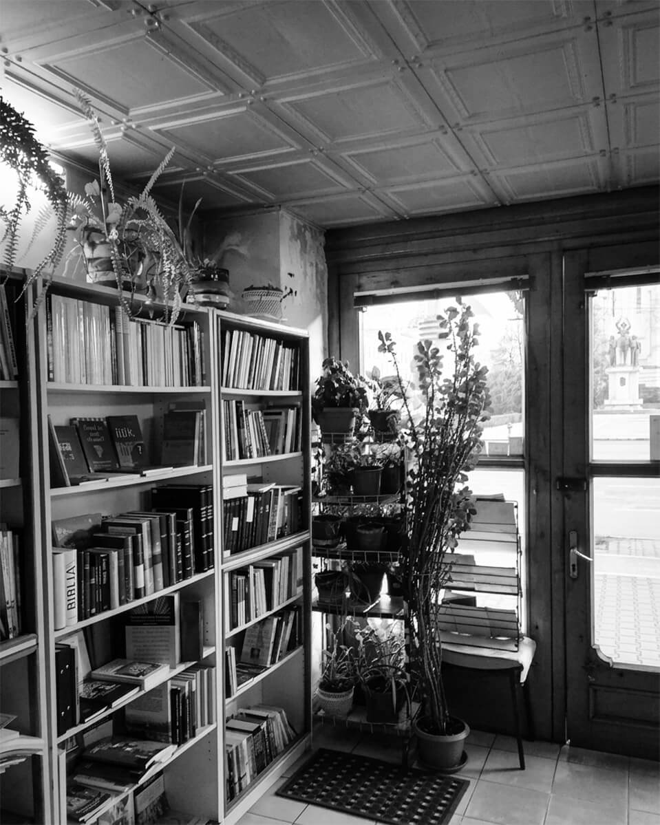 photo_08
