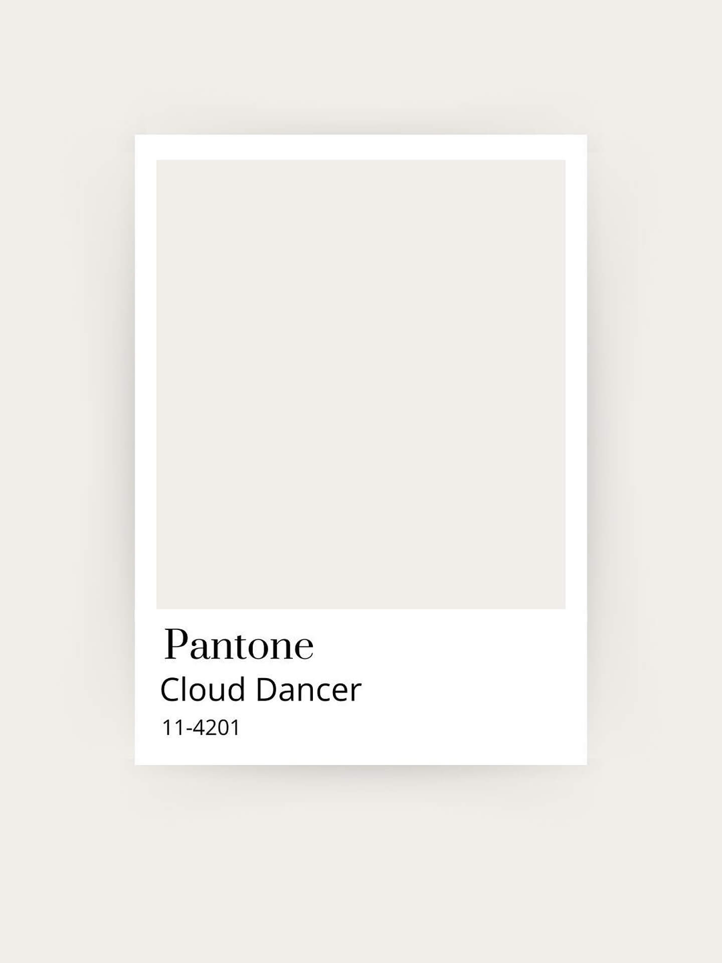 Pantone Color Swatch Cloud Dancer 11-4201 Pantone color swatch Cloud Dancer 11-4201 light beige taupe